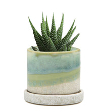 Load image into Gallery viewer, 5" Green Cement by Chive