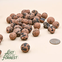 Load image into Gallery viewer, Leca: Medium