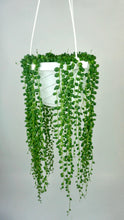 Load image into Gallery viewer, String of Pearls 6"