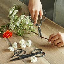 Load image into Gallery viewer, Pruning Set
