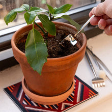 Load image into Gallery viewer, Mini Garden Tools
