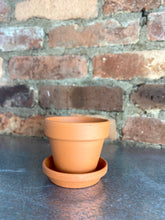 Load image into Gallery viewer, Terracotta Pot + Saucer 2.75"
