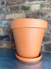 Load image into Gallery viewer, Terracotta Pot + Saucer 6"
