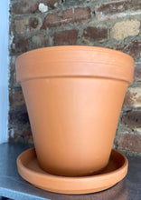 Load image into Gallery viewer, Terracotta Pot + Saucer 6"
